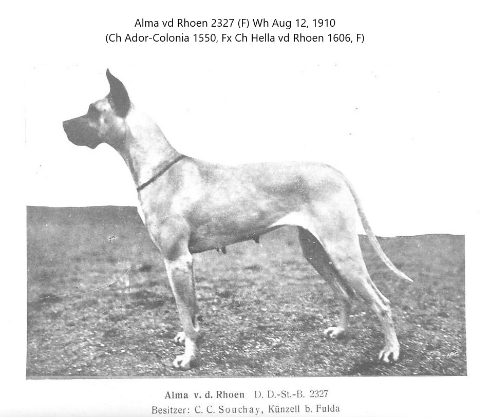 Alma vd Rhoen